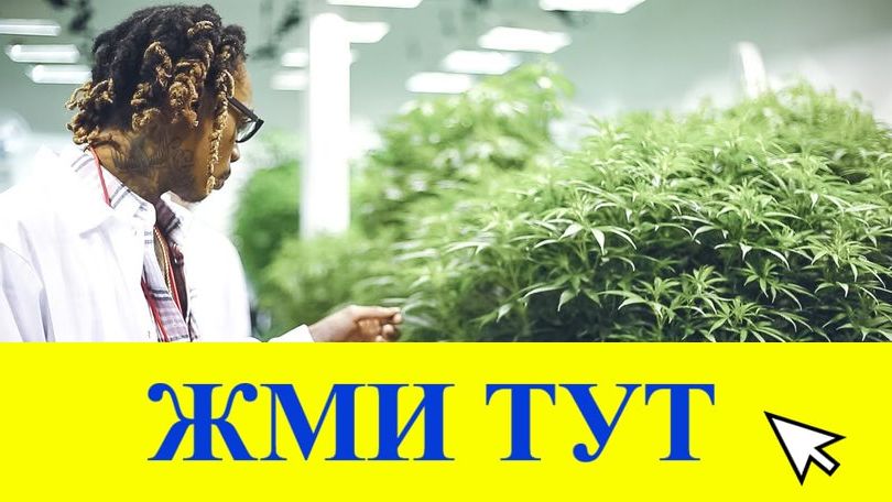 Купить наркотики в Оленегорске